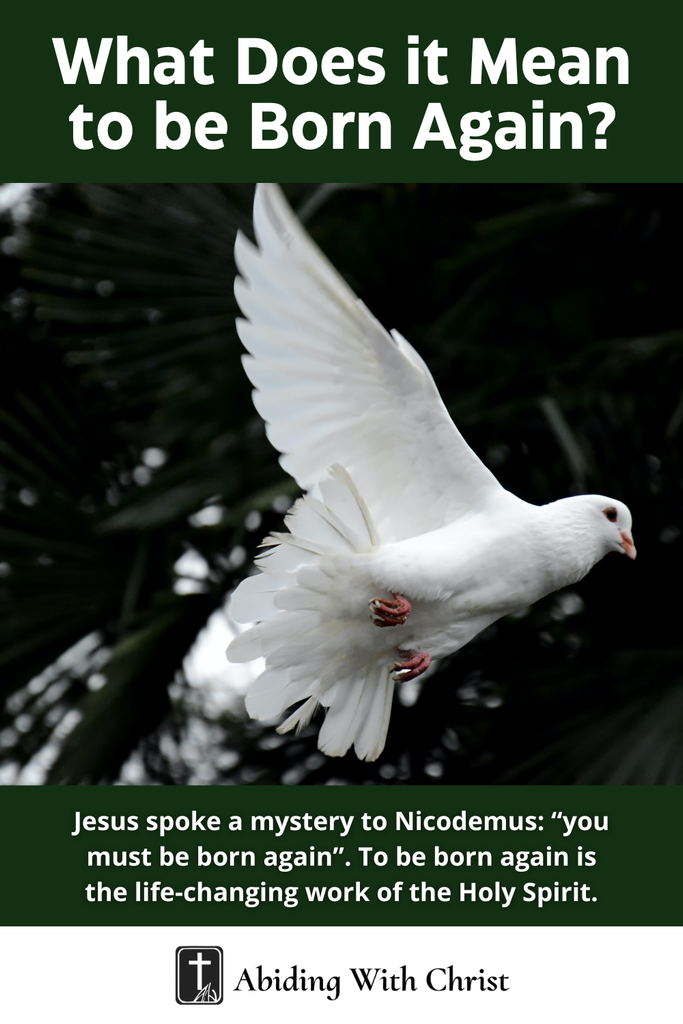 WHAT DOES IT MEAN TO BE BORN AGAIN_ABIDING WITH CHRIST