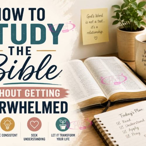 HOW TO STUDY THE BIBLE WITHOUT FEELING OVERWHELMED